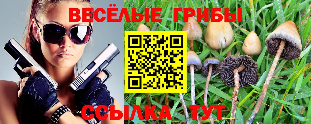 Добрянка  Псилоцибиновые грибы мухоморы  Вход с VPN 