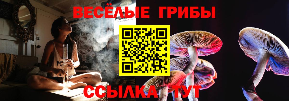 Псилоцибиновые грибы Magic Shrooms Добрянка